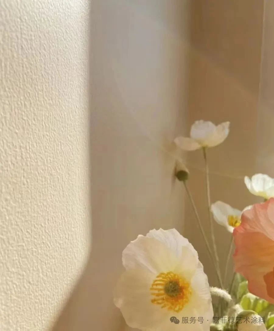 回南天来袭,一招教您解决发霉返潮烦恼！